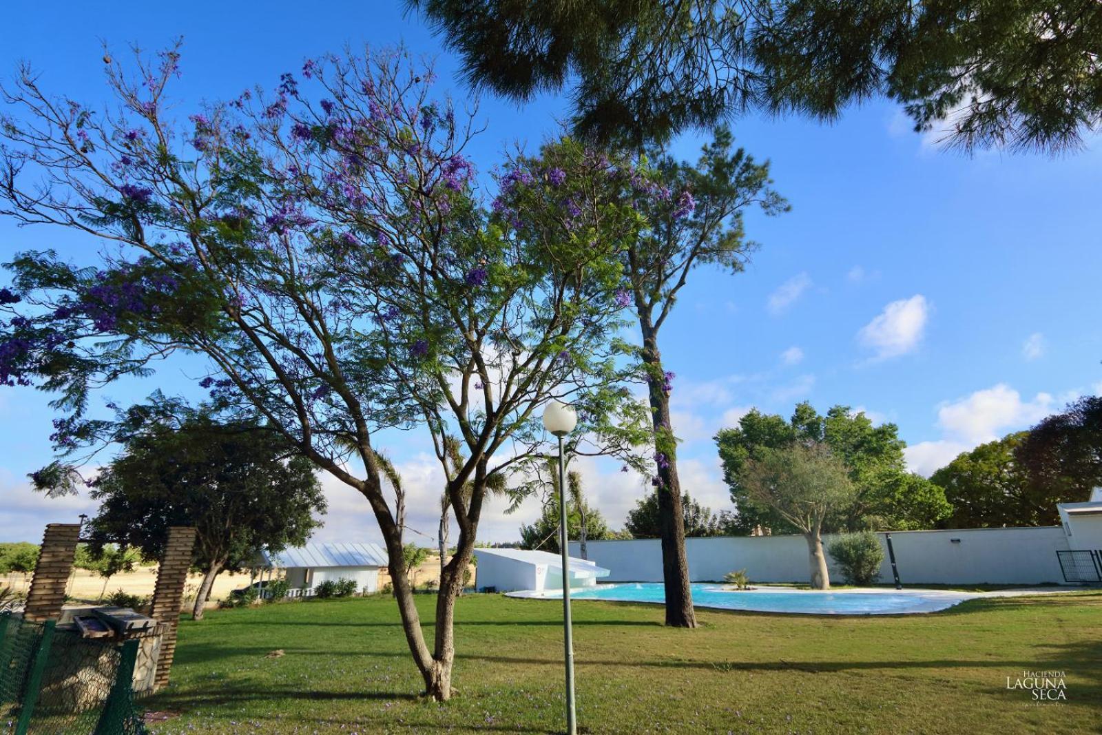 Hacienda Laguna Seca - Apart. Lavanda Chiclana de la Frontera Esterno foto